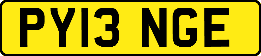 PY13NGE