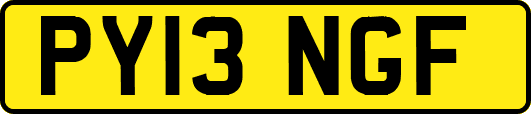 PY13NGF