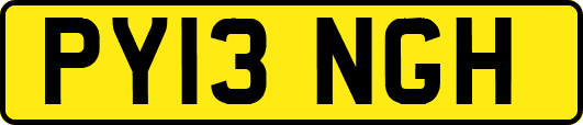 PY13NGH