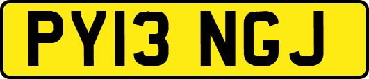 PY13NGJ