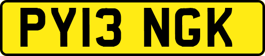 PY13NGK
