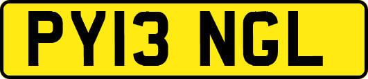 PY13NGL
