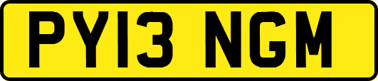 PY13NGM