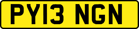 PY13NGN