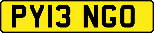 PY13NGO