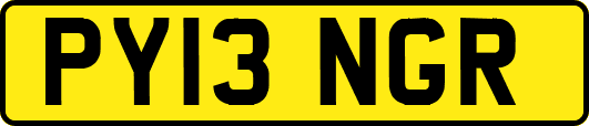 PY13NGR