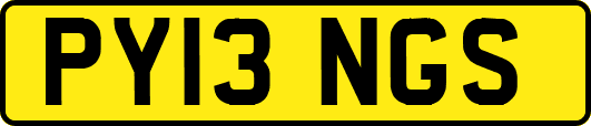 PY13NGS