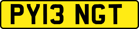 PY13NGT