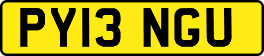 PY13NGU