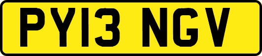 PY13NGV
