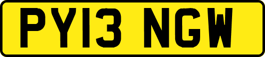 PY13NGW