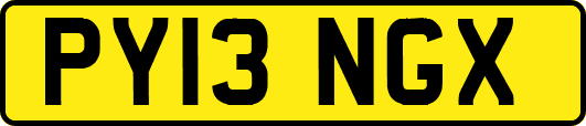 PY13NGX