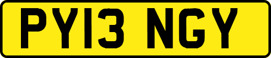 PY13NGY