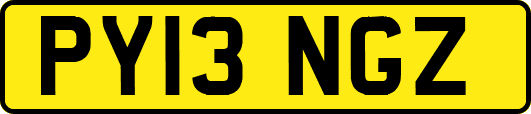 PY13NGZ