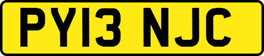 PY13NJC