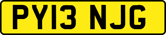PY13NJG