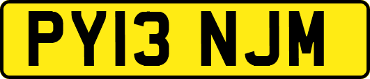 PY13NJM