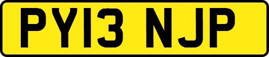 PY13NJP