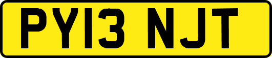 PY13NJT