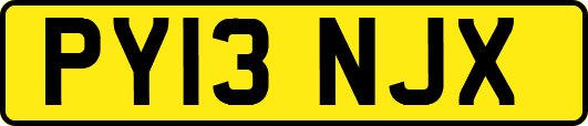 PY13NJX