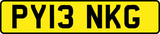 PY13NKG