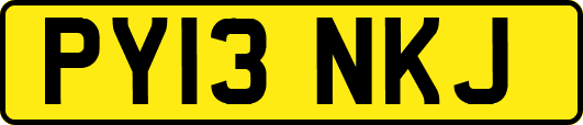 PY13NKJ