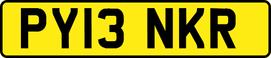 PY13NKR
