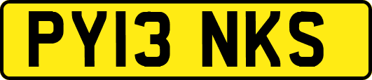 PY13NKS