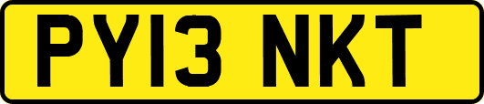 PY13NKT