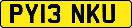 PY13NKU