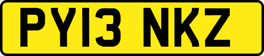 PY13NKZ