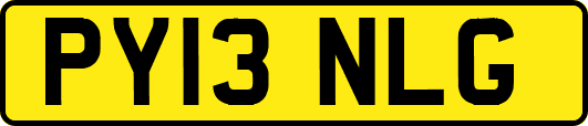 PY13NLG