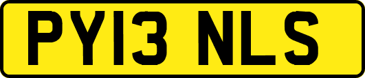 PY13NLS