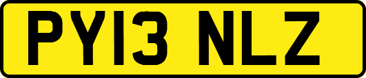 PY13NLZ
