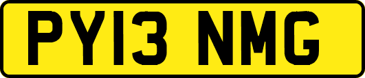 PY13NMG