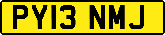 PY13NMJ