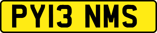 PY13NMS