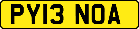 PY13NOA