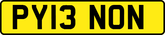 PY13NON