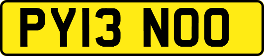 PY13NOO
