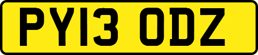 PY13ODZ