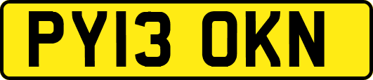 PY13OKN