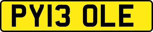 PY13OLE