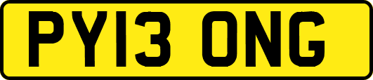 PY13ONG