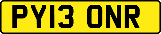 PY13ONR
