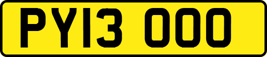 PY13OOO