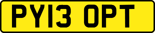 PY13OPT