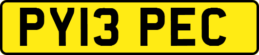 PY13PEC