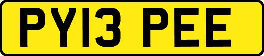 PY13PEE