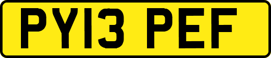 PY13PEF
